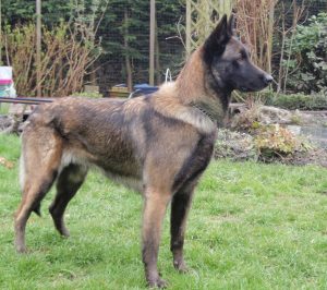 Kopie 2 van P3300260