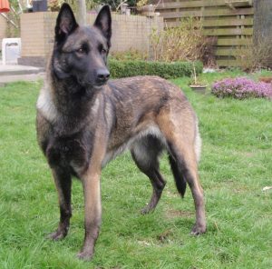 Kopie 2 van P3300262