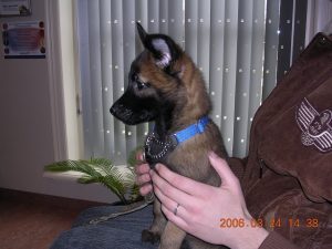 Kopie van beulah 022 (1)