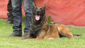 13263953 901884869922650 35740892211838750 n 