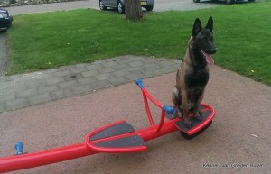 1-10152486 661265730588316 5943988199563984689 n 