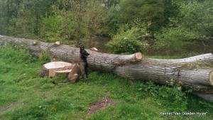 1-10260033 661262757255280 7231019686018506591 n 