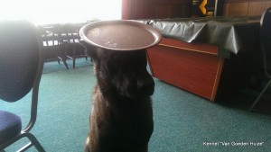 1-10516609 719514301430125 5477015084236902069 n 