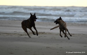 1025606 10151862701647105 117409649 o   