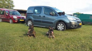 11713490 743804879063984 1972586845 n     