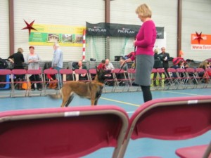 532607 233528670114464 1167790728 n   