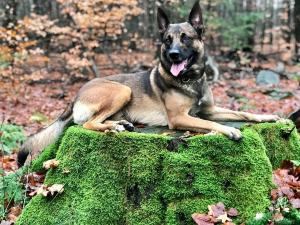 79495782 587195361850421 2181350663424835584 n