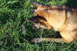 80246704 2856312421086067 8110237507255271424 n