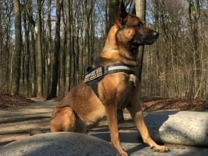 80403164 1660445460762515 8104813985762639872 n