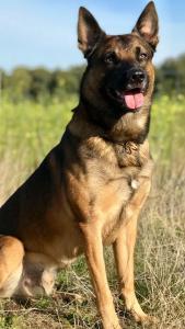 80458575 572228559988487 4969652868031184896 n