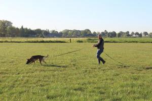 81072276 573121236852672 6358154900781662208 n