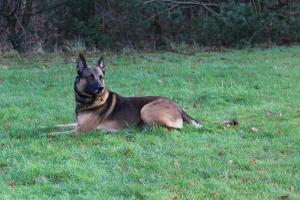 ff23392e0b562f70af7cdd19bf085a0f1911557eb2b25be90fbe106f2811ee0b