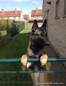 1-10504923 365498376977800 2339071991951568107 o 