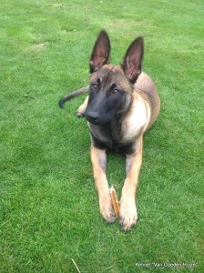 1-10547183 284425808418391 3054430036107410725 o 