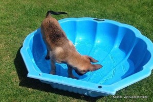 1-1973440 262322797295359 3150605577827274901 o 