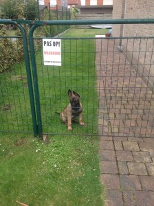 10497066 259080174286288 3539134808890614269 o 