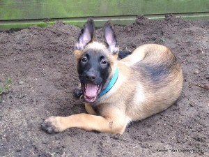 1-10488364 709444702460198 3690789456543946043 n 