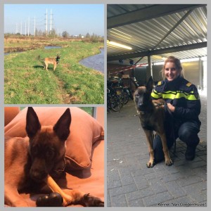 1-1609614 751462781606486 1596854730513073848 n 