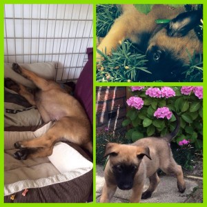 10477950 683523745067057 4346260052689552672 n 