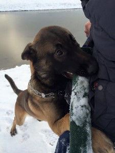 10505601 853324058031073 5523190027377298883 n a 