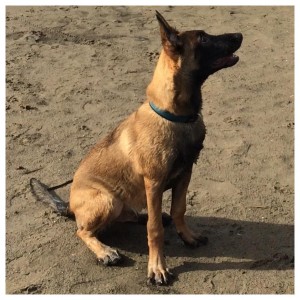 10675626 736694953083269 6727201294082824556 n 