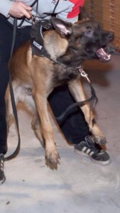 418 418 maarten-rijnen-postzegelkaart-45-jaar 