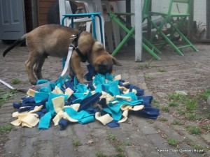 1-10505098 771285776267971 6514715559830569801 o 