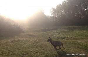 1-10537192 808374989225716 5242765002132581812 o 