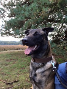 12118739 767269636736138 8073752350496700218 n 