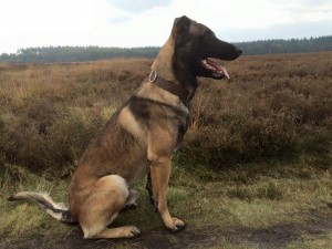 12141609 767269626736139 3025893695038298999 n 