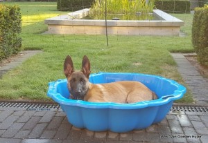 1-38434142 668881096805199 5214517290107666432 o    