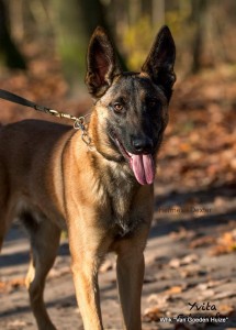 1-51658168 784178311942143 4769099597777731584 n 