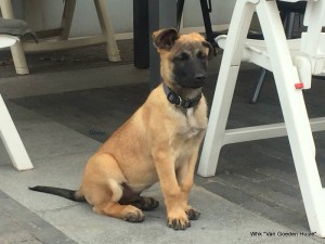 1-IMG-20180616-WA0000      