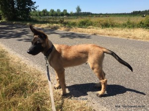 1-IMG-20180711-WA0000    