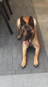 62637997 2639048239458637 3156240258874474496 n 