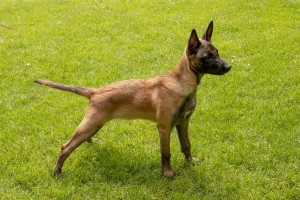 64226679 2411766388861852 506455680186580992 o 