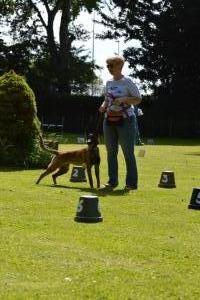 DSC 5547 (1) (1) (1)