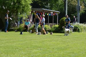 DSC 5549 (1) (1) (1)