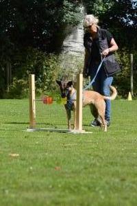 DSC 5550 (1) (1) (1)