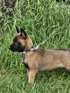 452998559 8079766675395768 2376455638318856787 n