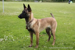 1-1-1-11248343 419519811568444 742260757547650594 o (1)