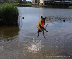 1-1-11813237 436606899859735 569138062596815582 n 3 (1)