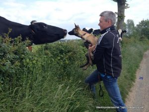 1-1-1510360 389922327861526 7994189093445582812 n 1 (1)