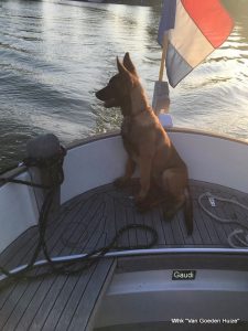 1-1-19247941 1890322517906979 8740849344621703485 n