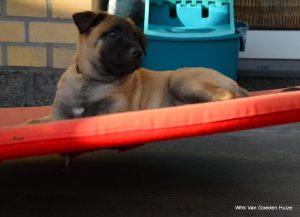 1-1-DSC 4501 (1) (1)