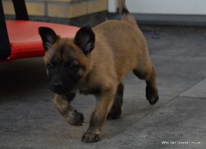 1-1-DSC 4542 (1) (1)