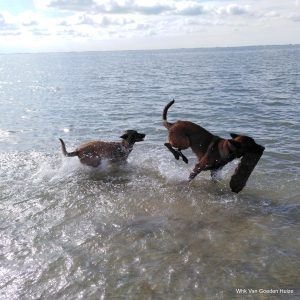 1-1-septeber 2020 325