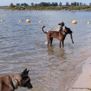 1-1-septeber 2020 326