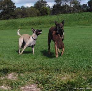 1-1-septeber 2020 330