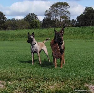 1-1-septeber 2020 334